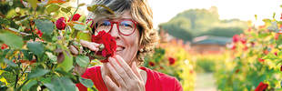 Katrin Iskam riecht an roter Rose