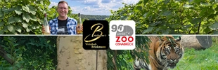 Weingut Brinkmann, Tiger im Zoo
