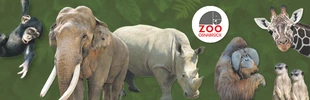 Abbildung von Zoo-Tieren