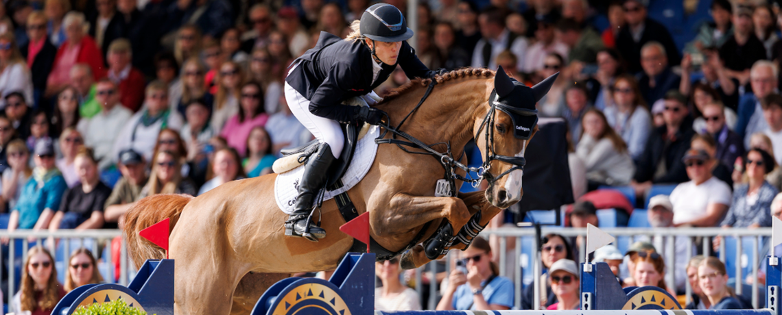 Turnierreiter auf einem Pferd springt über einen Parcours mit Publikum im Hintergrund